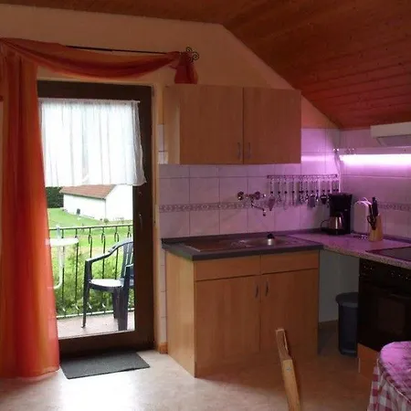 公寓 Ferienwohnung-nickels-in-der-eifel Daleiden